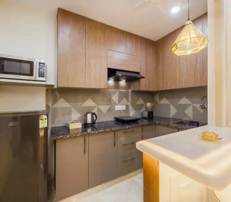 1 BHK Kitchen