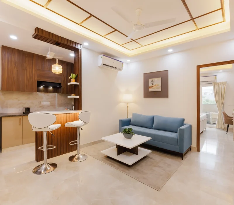1 BHK Living Room