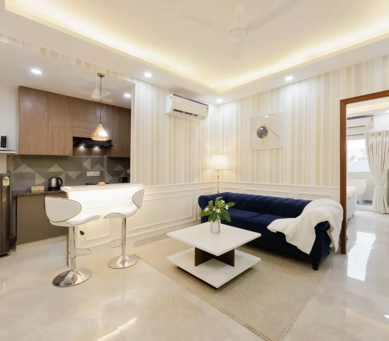 1BHK Living Room